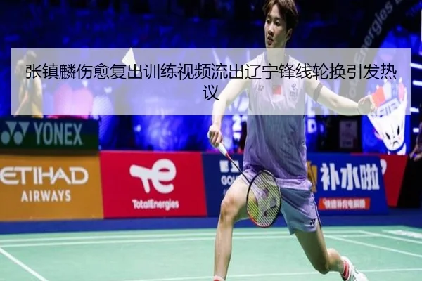 张镇麟伤愈复出训练视频流出辽宁锋线轮换引发热议